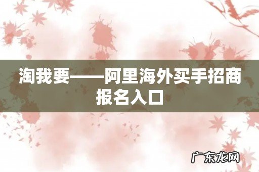 淘我要——阿里海外买手招商报名入口