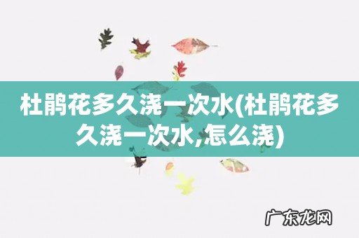 杜鹃花多久浇一次水,怎么浇 杜鹃花多久浇一次水