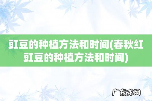 春秋红豇豆的种植方法和时间 豇豆的种植方法和时间