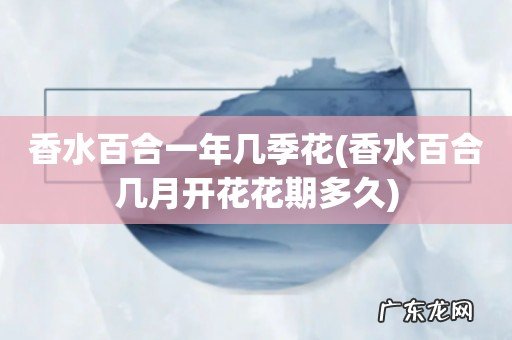 香水百合几月开花花期多久 香水百合一年几季花