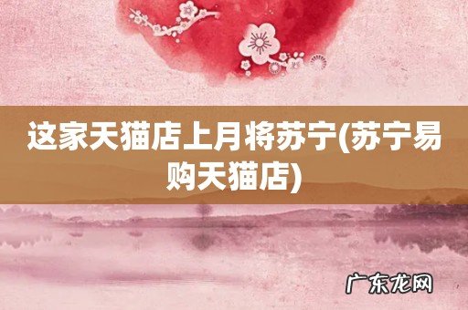 苏宁易购天猫店 这家天猫店上月将苏宁