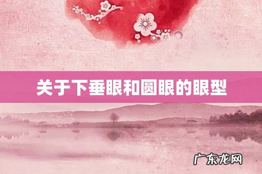 关于下垂眼和圆眼的眼型