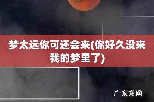你好久没来我的梦里了 梦太远你可还会来