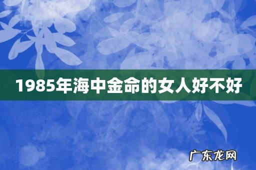 1985年海中金命的女人好不好