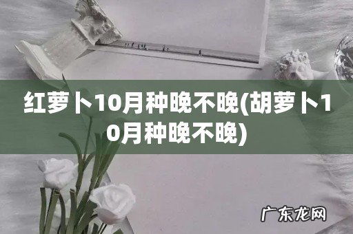 胡萝卜10月种晚不晚 红萝卜10月种晚不晚