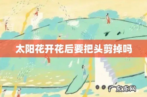 太阳花开花后要把头剪掉吗