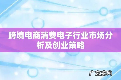 跨境电商消费电子行业市场分析及创业策略