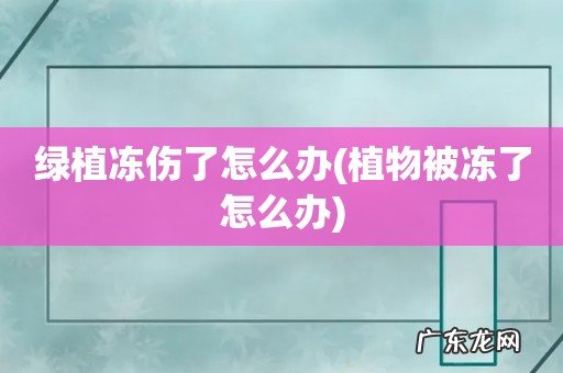 植物被冻了怎么办 绿植冻伤了怎么办