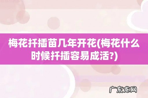 梅花什么时候扦插容易成活? 梅花扦插苗几年开花