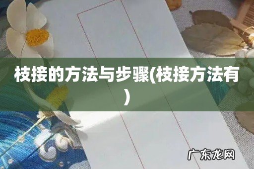 枝接方法有 枝接的方法与步骤