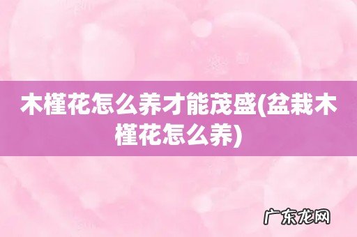 盆栽木槿花怎么养 木槿花怎么养才能茂盛