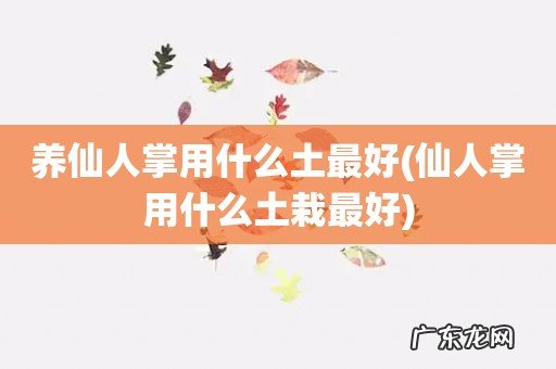 仙人掌用什么土栽最好 养仙人掌用什么土最好