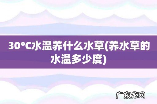 养水草的水温多少度 30℃水温养什么水草