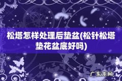 松针松塔垫花盆底好吗 松塔怎样处理后垫盆