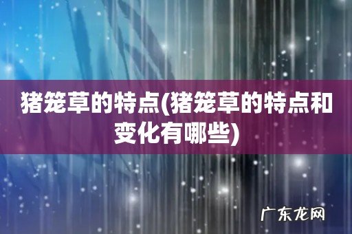 猪笼草的特点和变化有哪些 猪笼草的特点