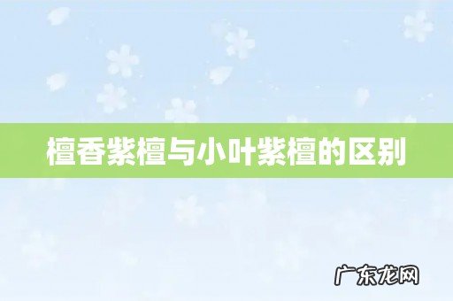 檀香紫檀与小叶紫檀的区别