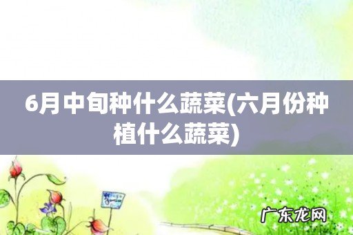 六月份种植什么蔬菜 6月中旬种什么蔬菜