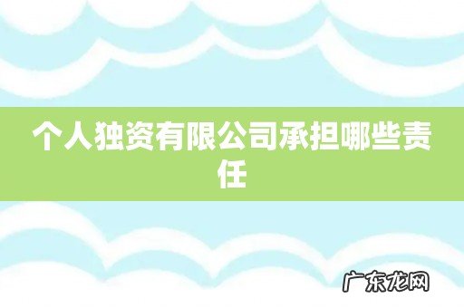 个人独资有限公司承担哪些责任