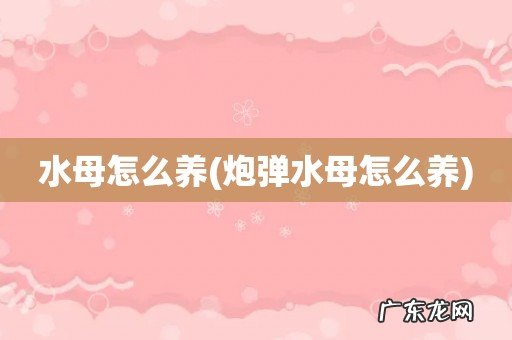 炮弹水母怎么养 水母怎么养