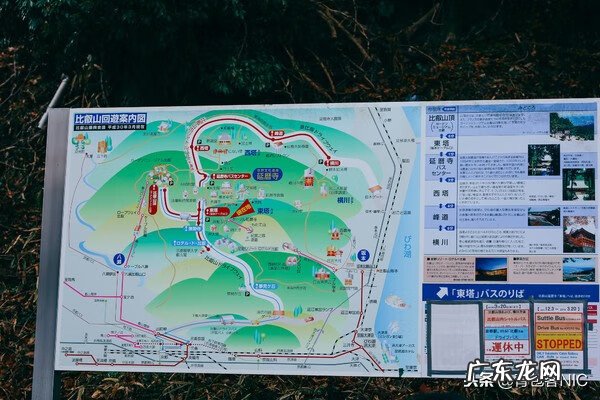 鸟飞进店铺的风水说法 飞鸟时代都城的风水