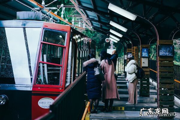 鸟飞进店铺的风水说法 飞鸟时代都城的风水
