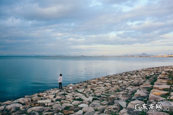 鸟飞进店铺的风水说法 飞鸟时代都城的风水