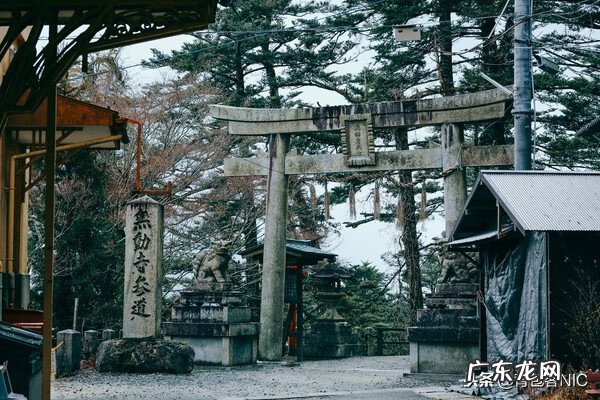 鸟飞进店铺的风水说法 飞鸟时代都城的风水