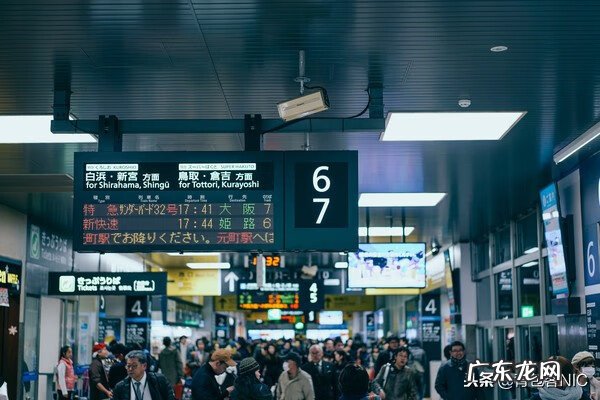 鸟飞进店铺的风水说法 飞鸟时代都城的风水