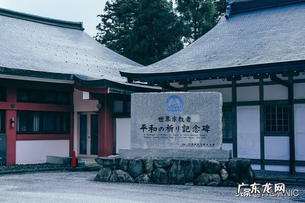 鸟飞进店铺的风水说法 飞鸟时代都城的风水