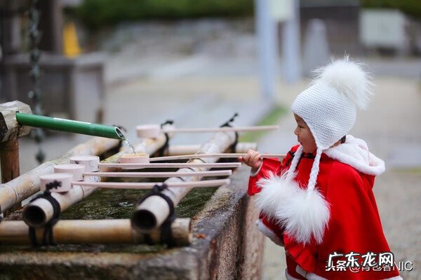 鸟飞进店铺的风水说法 飞鸟时代都城的风水