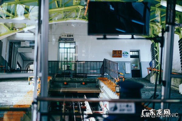 鸟飞进店铺的风水说法 飞鸟时代都城的风水