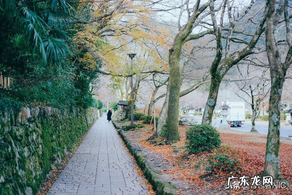 鸟飞进店铺的风水说法 飞鸟时代都城的风水