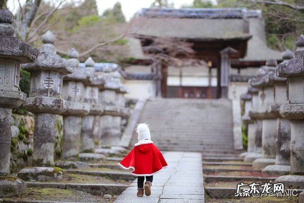 鸟飞进店铺的风水说法 飞鸟时代都城的风水