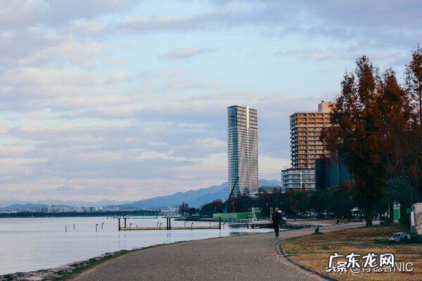 鸟飞进店铺的风水说法 飞鸟时代都城的风水
