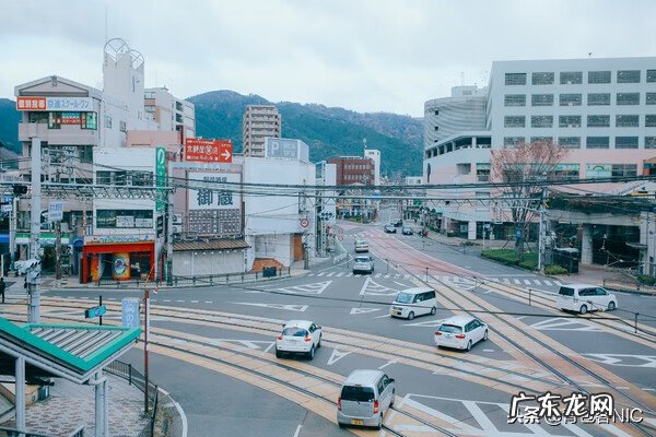 鸟飞进店铺的风水说法 飞鸟时代都城的风水