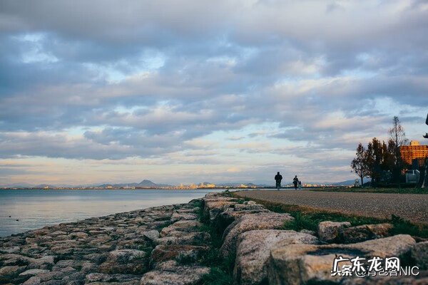 鸟飞进店铺的风水说法 飞鸟时代都城的风水