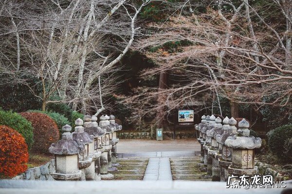 鸟飞进店铺的风水说法 飞鸟时代都城的风水