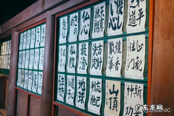 鸟飞进店铺的风水说法 飞鸟时代都城的风水