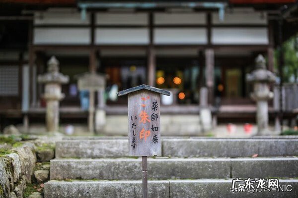鸟飞进店铺的风水说法 飞鸟时代都城的风水