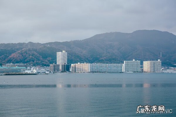 鸟飞进店铺的风水说法 飞鸟时代都城的风水
