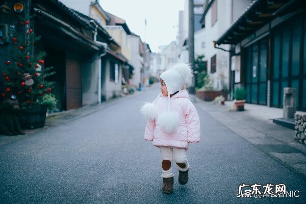 鸟飞进店铺的风水说法 飞鸟时代都城的风水