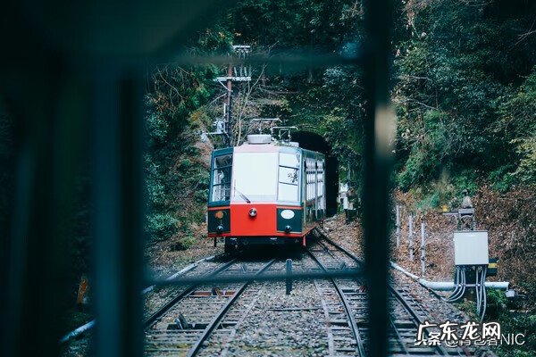鸟飞进店铺的风水说法 飞鸟时代都城的风水