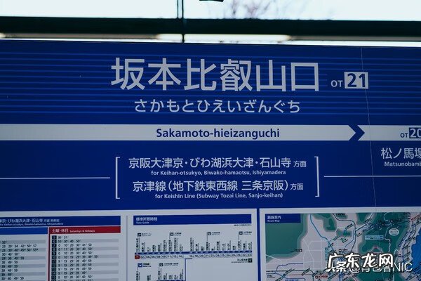 鸟飞进店铺的风水说法 飞鸟时代都城的风水