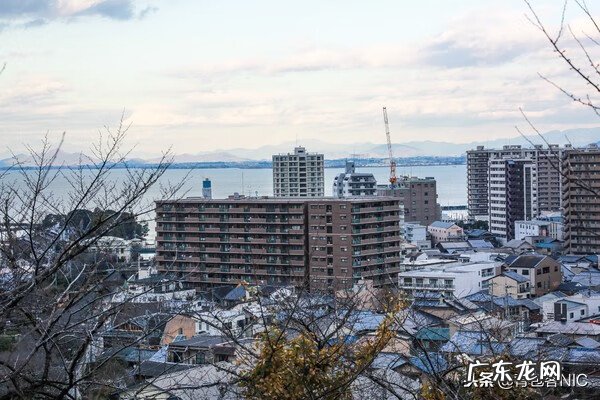 鸟飞进店铺的风水说法 飞鸟时代都城的风水