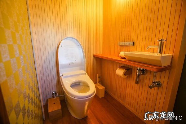 鸟飞进店铺的风水说法 飞鸟时代都城的风水