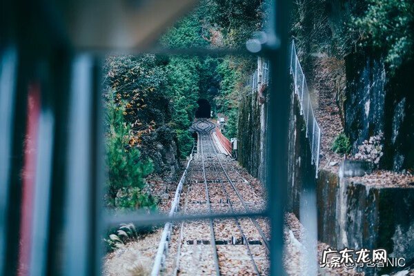 鸟飞进店铺的风水说法 飞鸟时代都城的风水