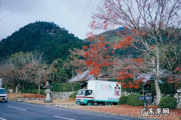鸟飞进店铺的风水说法 飞鸟时代都城的风水