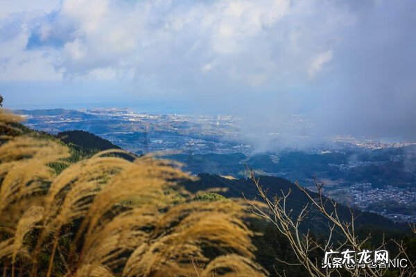 鸟飞进店铺的风水说法 飞鸟时代都城的风水