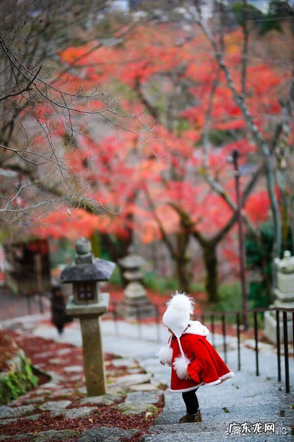鸟飞进店铺的风水说法 飞鸟时代都城的风水