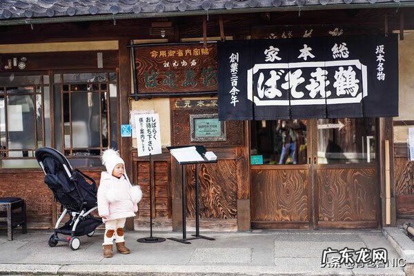 鸟飞进店铺的风水说法 飞鸟时代都城的风水